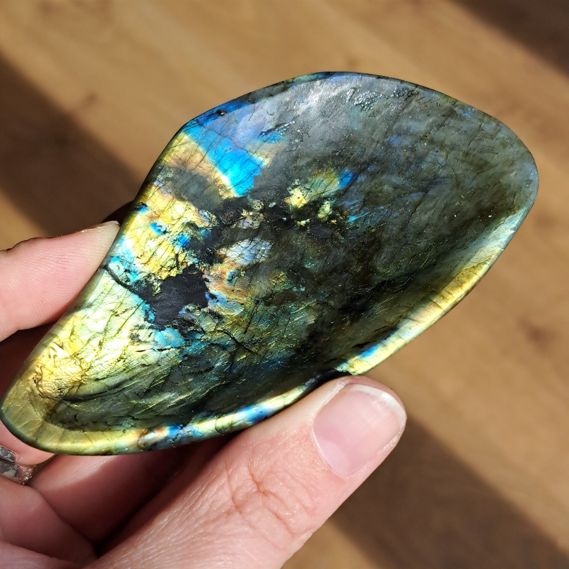 Labradoriet Schaal (2)