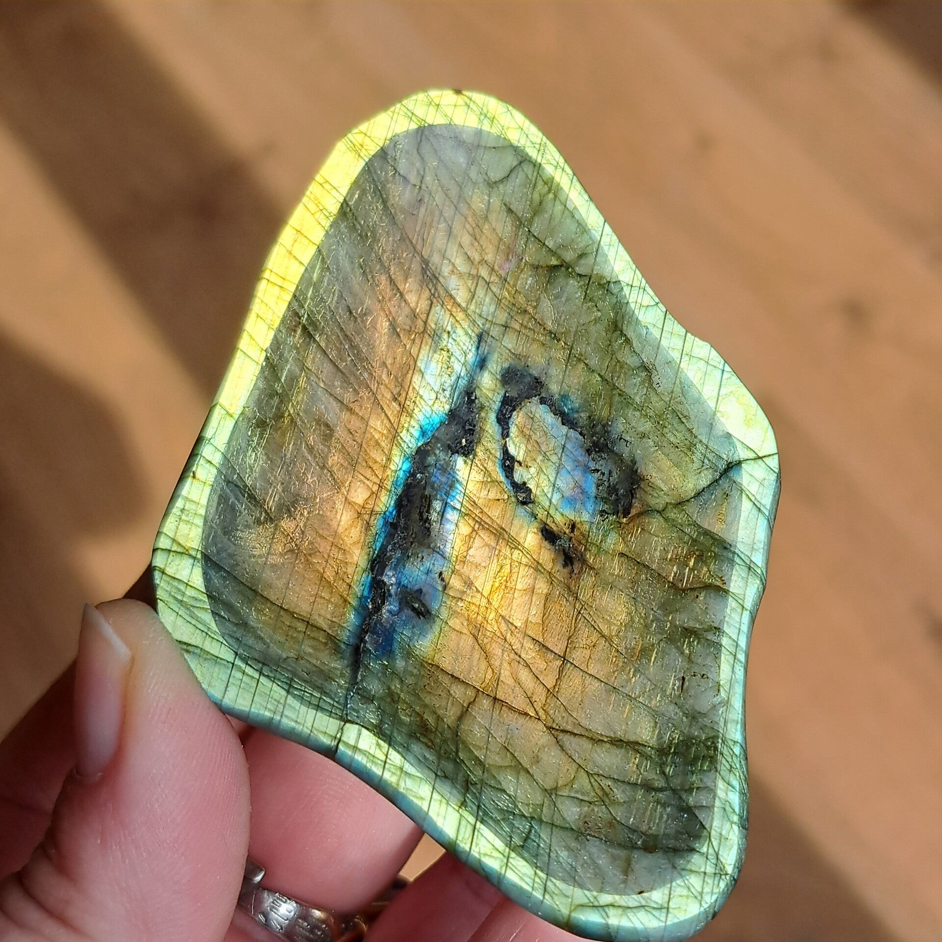 Labradoriet Schaal (3)