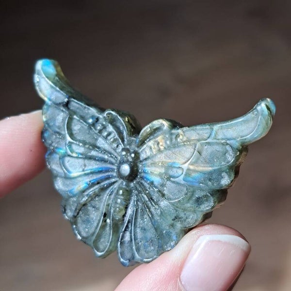 Labradoriet Vlinder (2)