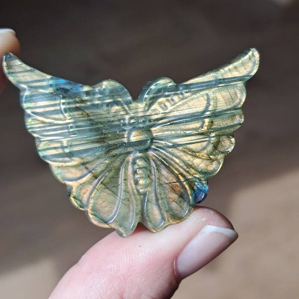 Labradoriet Vlinder (3)