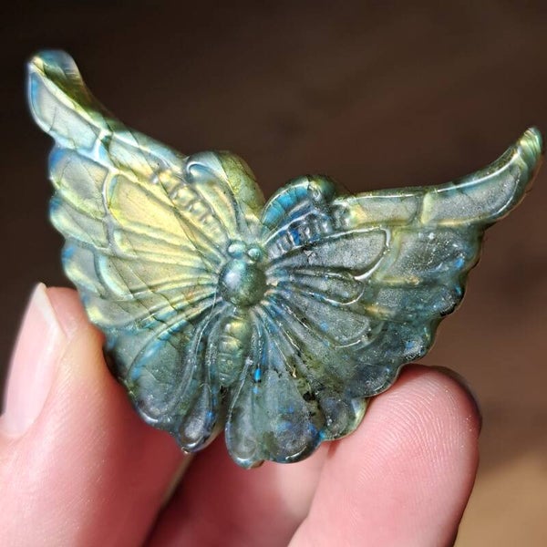 Labradoriet Vlinder (5)