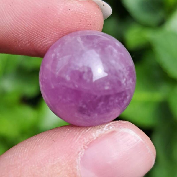 Kunziet Mini Bolletje (1)