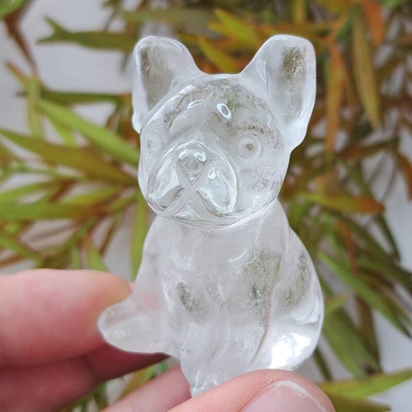 Bergkristal Bulldog (1)