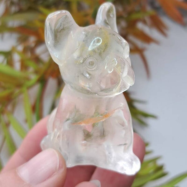 Bergkristal (Limoniet & Hematiet) Bulldog (3)