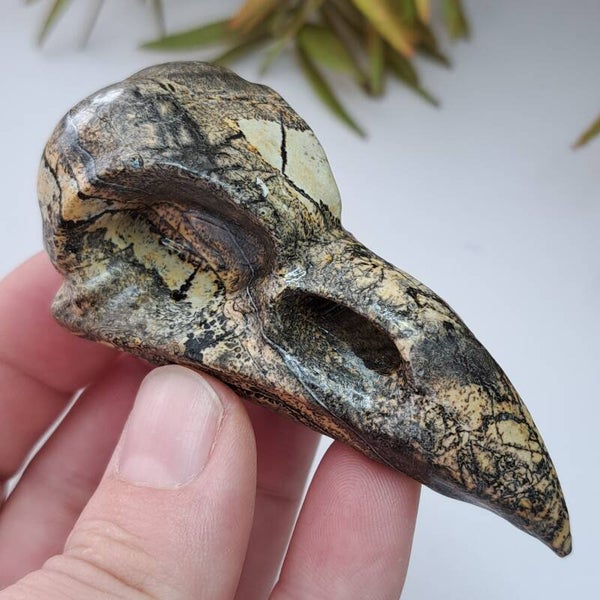 Landschapssteen Bird Skull (1)
