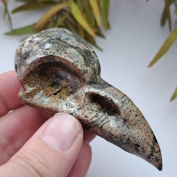 Landschapssteen Bird Skull (2)
