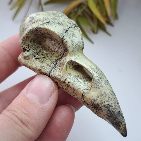 Landschapssteen Bird Skull (3)