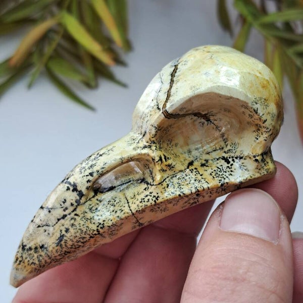 Landschapssteen Bird Skull (4)