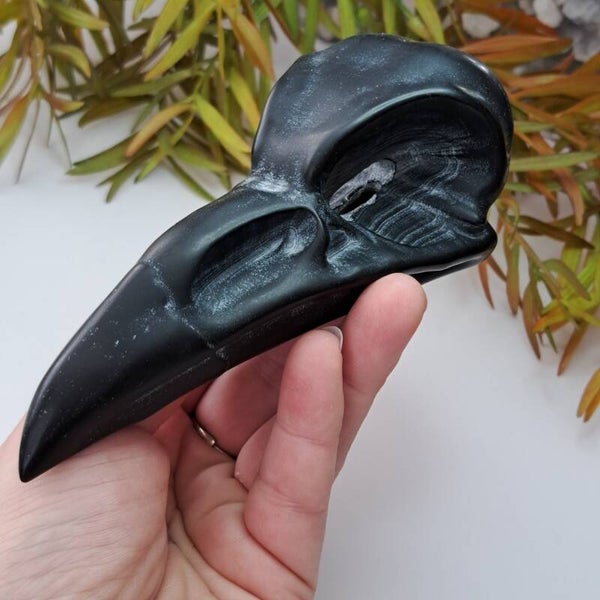 Obsidiaan XL Bird Skull