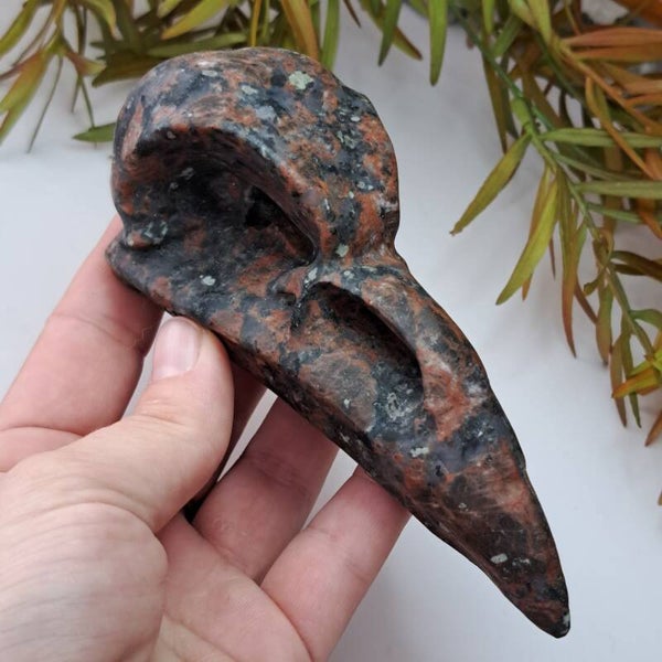 Rode Jaspis XL Bird Skull