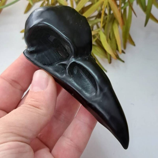 Obsidiaan Bird Skull (2)
