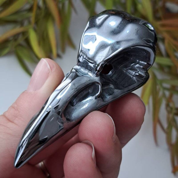 Teraherz Bird Skull (1)