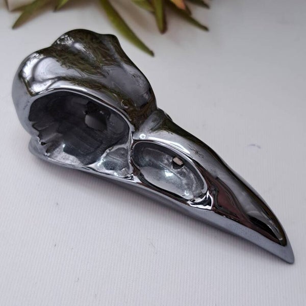 Teraherz Bird Skull (2)