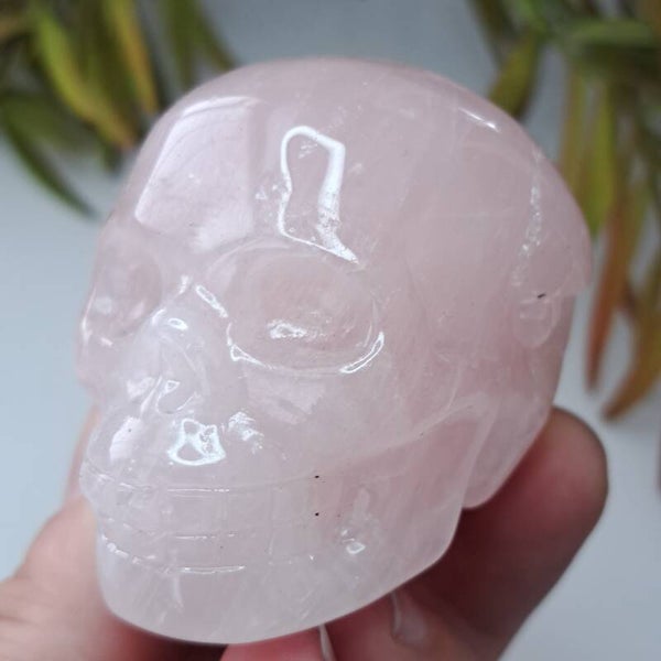 Rozenkwarts Skull (2)