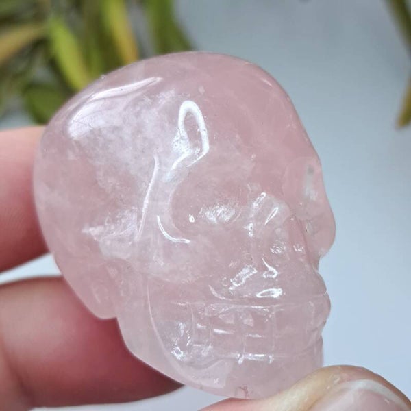 Rozenkwarts Skull (1)