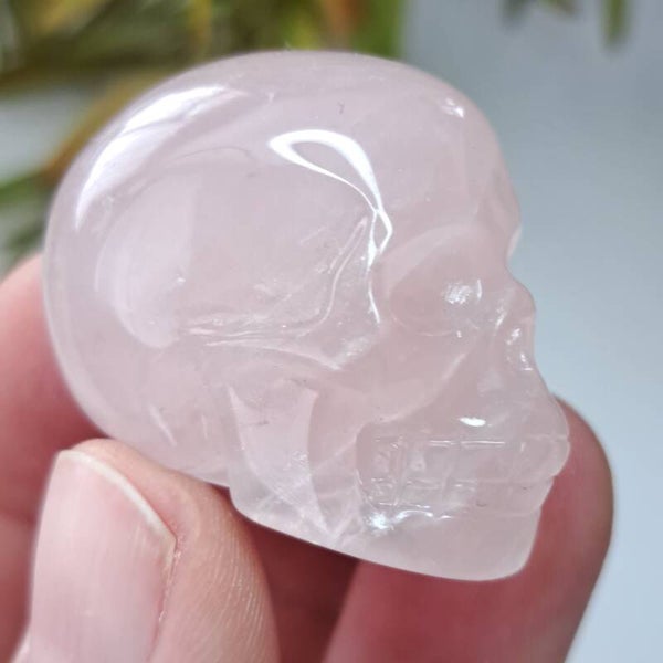 Rozenkwarts Skull (2A)