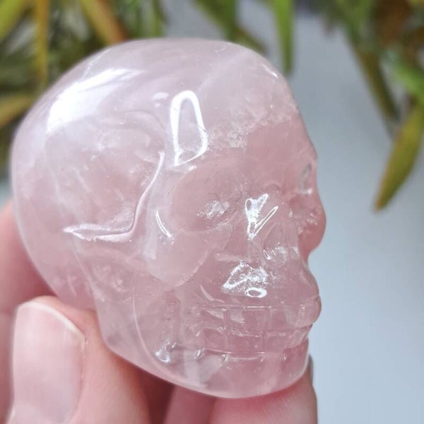 Rozenkwarts Skull (4)