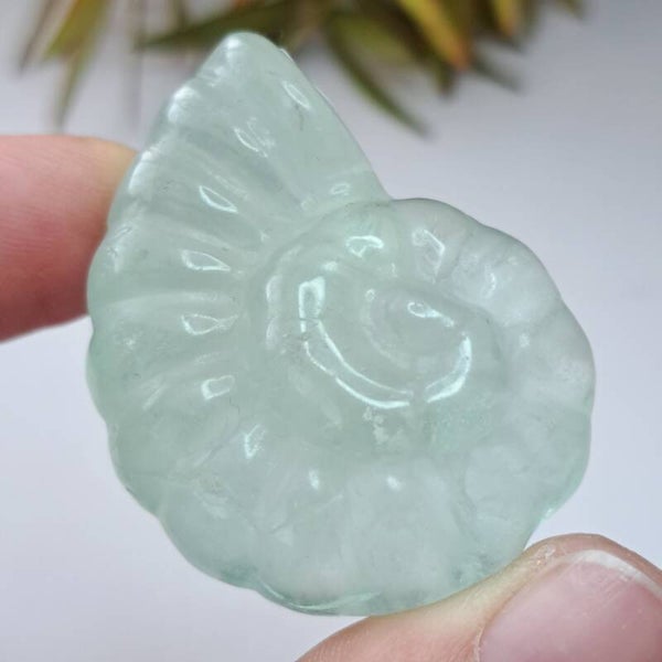 Fluoriet Ammoniet Carving (1)