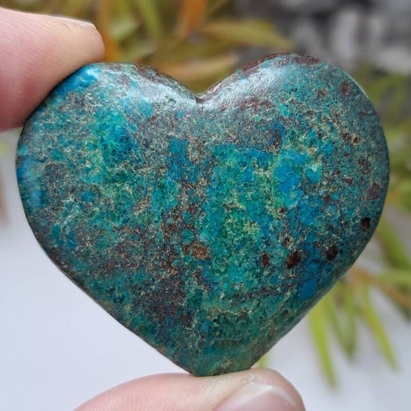 Chrysocolla Hart (8)