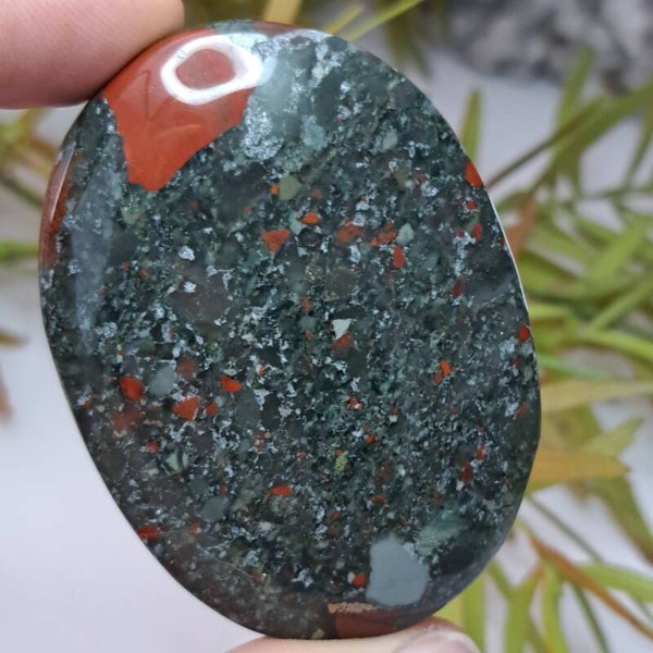 Rode Jaspis met Chalcedoon Palm (2)