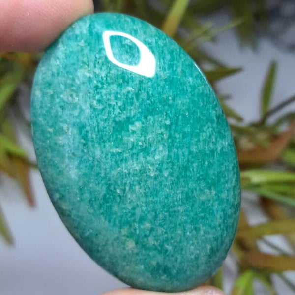 Amazoniet Palmsteen (1)