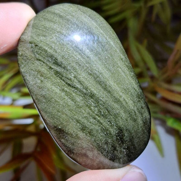 Goud Obsidiaan Palmsteen (5)