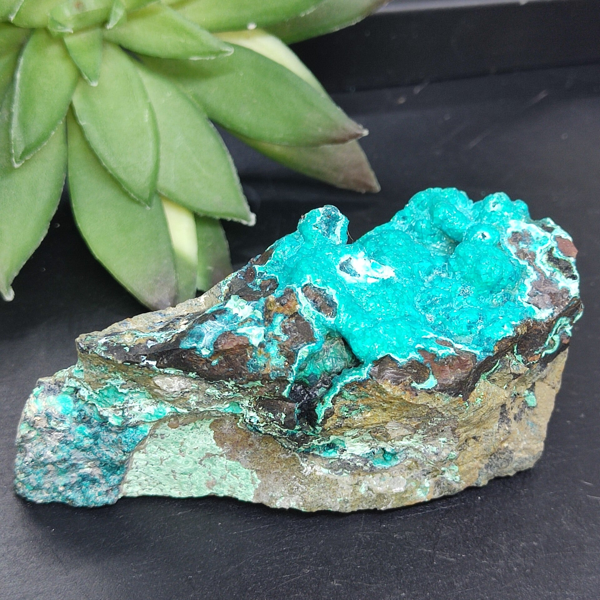 Drusy Chrysocolla Cluster