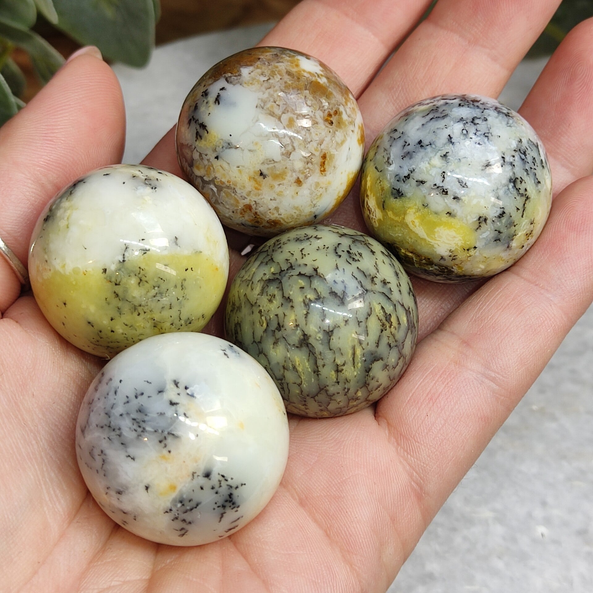 Mini Bolletje Dendriet Agaat