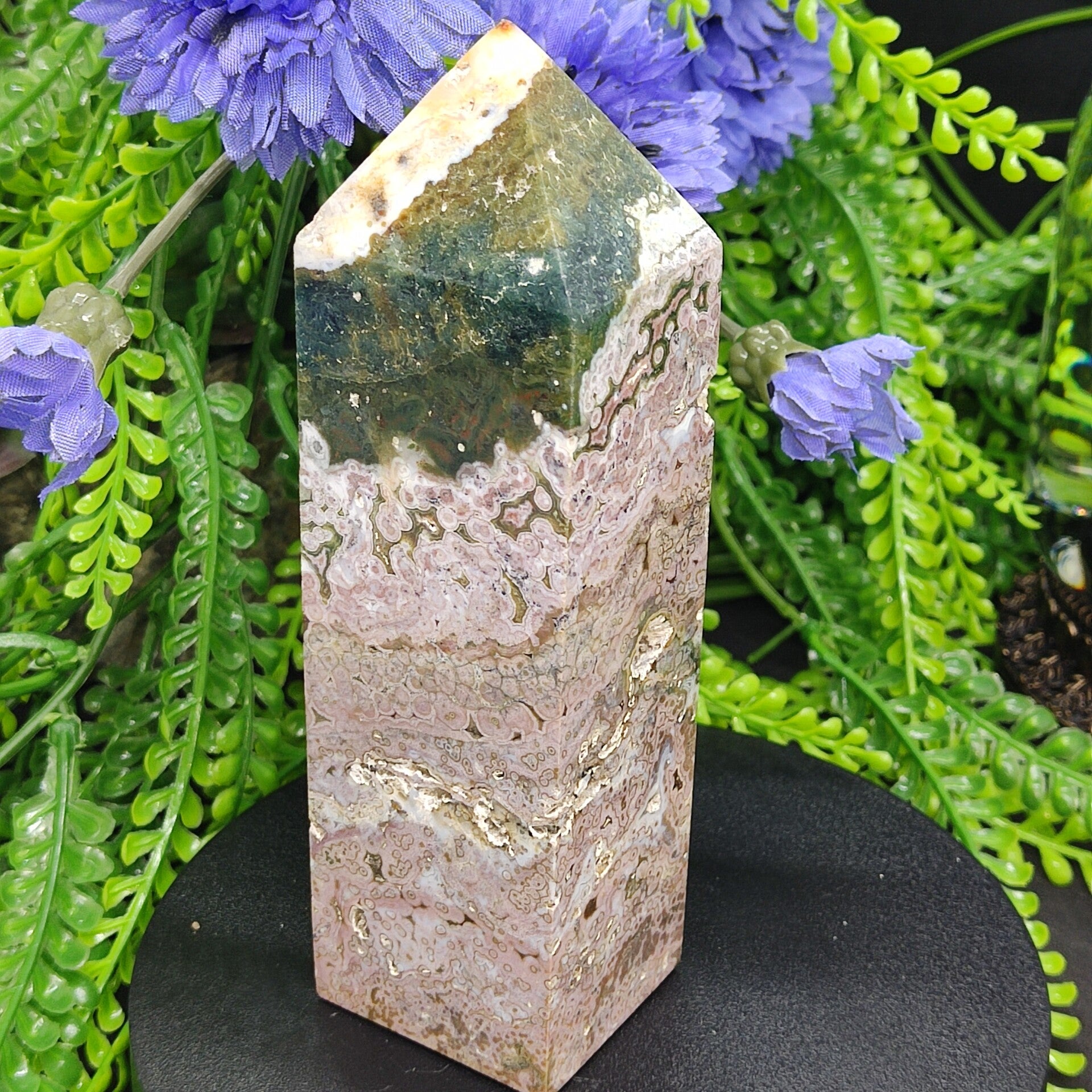 Oceaanjaspis Toren (34)