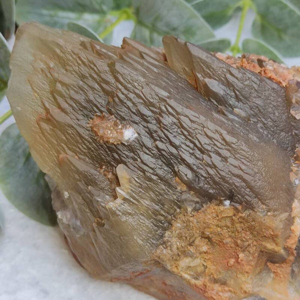 Dogtooth Calciet punt met Fluoriet