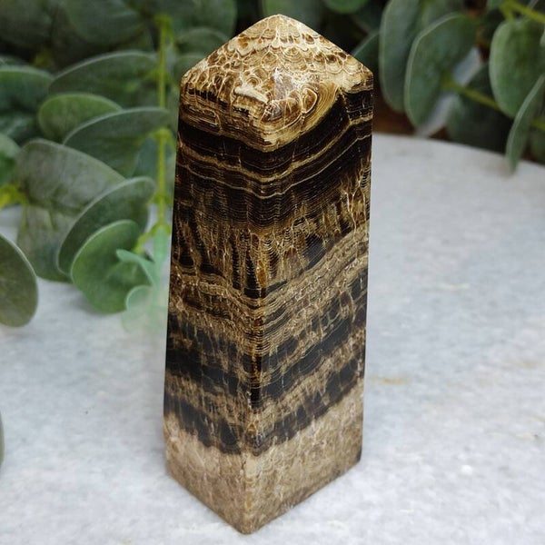 Bruine Calciet Toren (4)