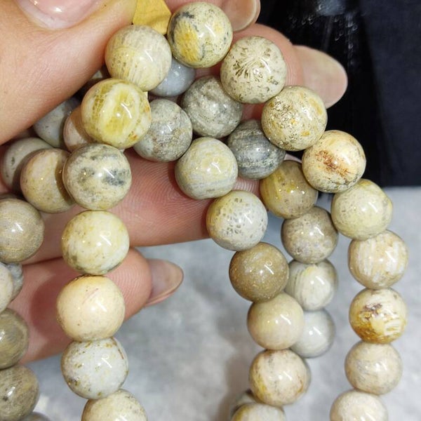 Fossiel Koraal Armband 8mm kraal