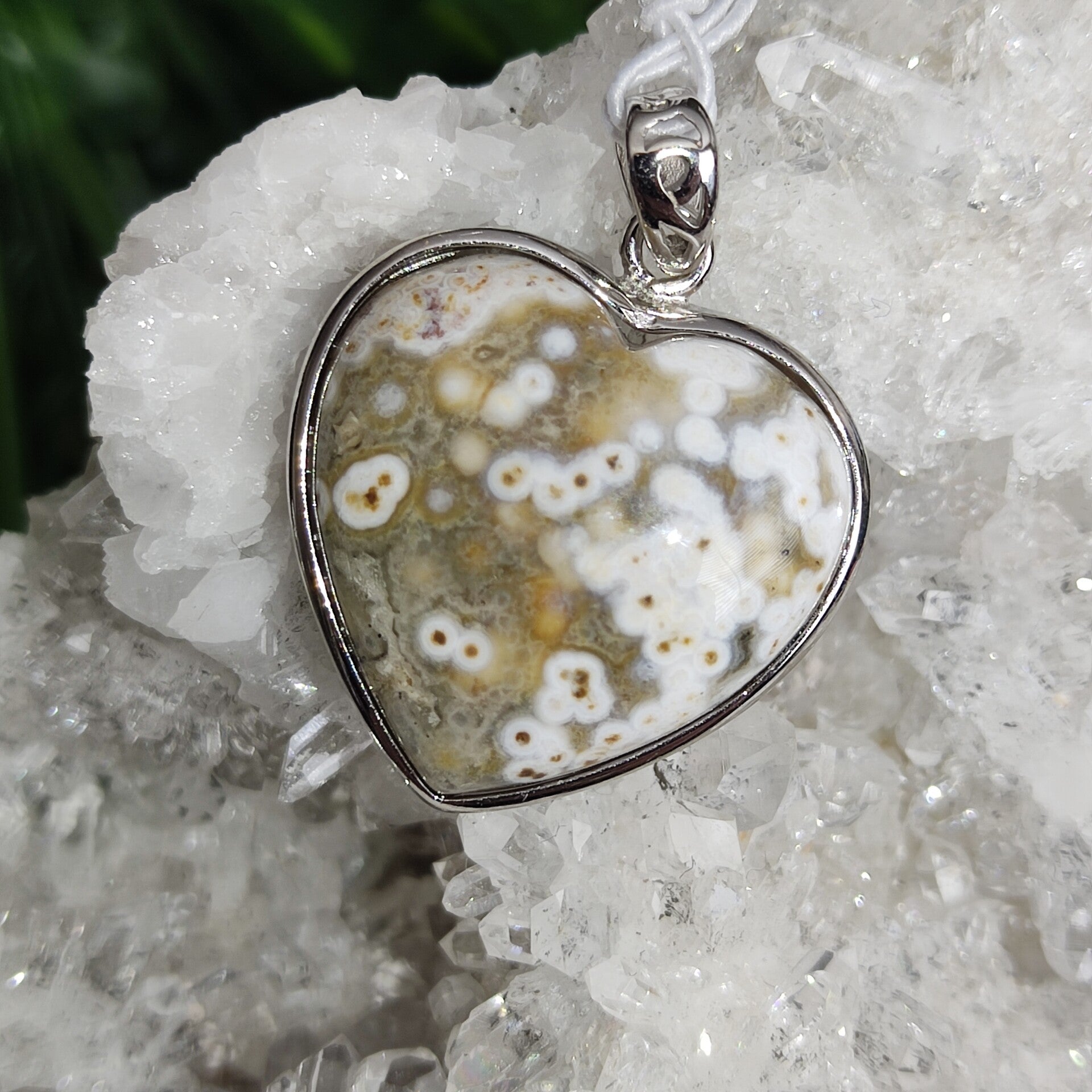 Oceaanjaspis Hanger Hart (8)