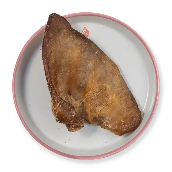 Orecchie di suino 2 pezzi