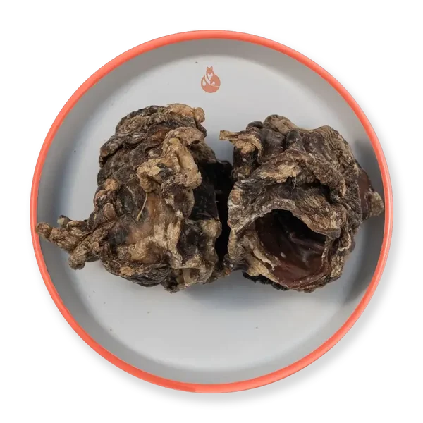 Epiglottide di bovino 2 pezzi