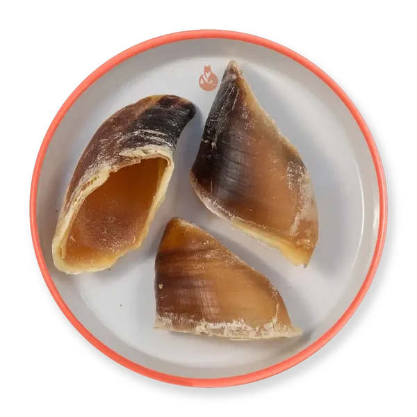 Unghia do bovino 5 pezzi