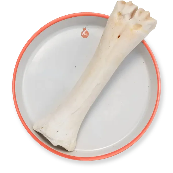 Osso di calcio 1 pz.