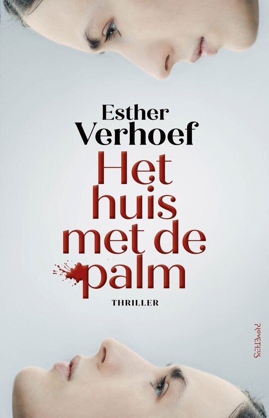 Het huis met de palm