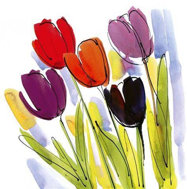 Tulpen c27