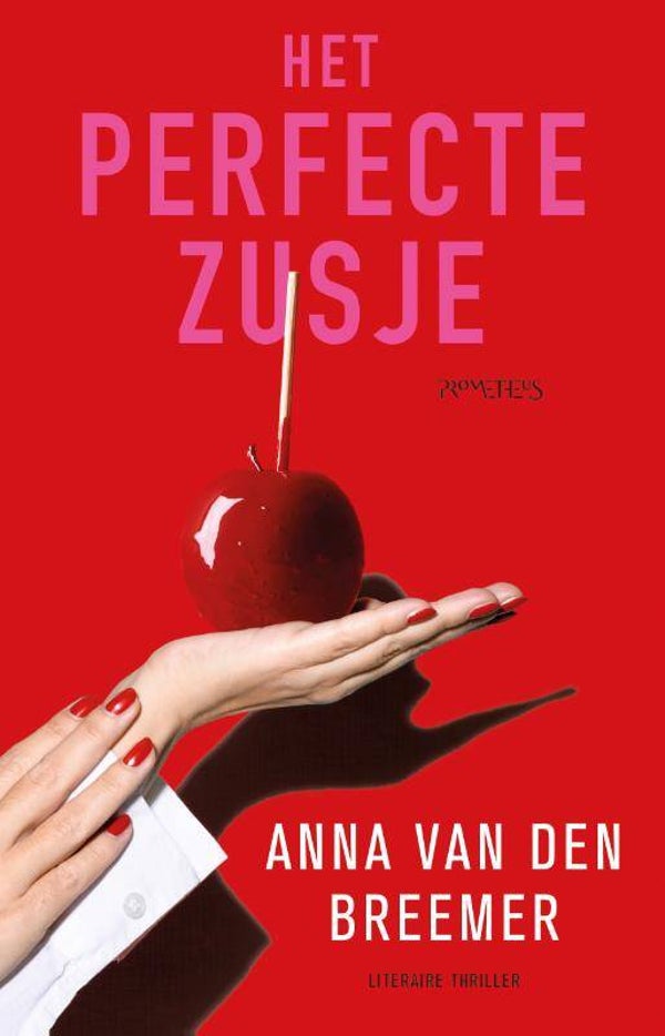 Perfecte zusje - Anna van den Breemer