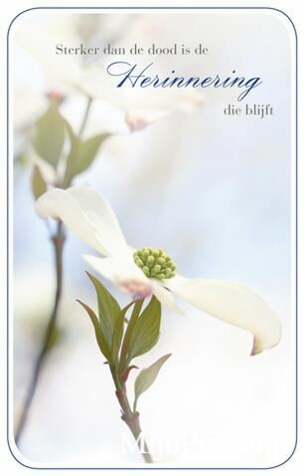 Deelneming, sterker dan..