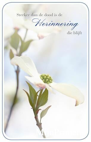 Deelneming, sterker dan..