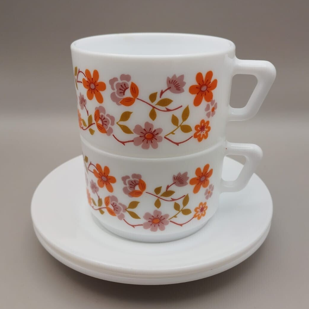 Kop en schotel Arcopal Scania - set van 2