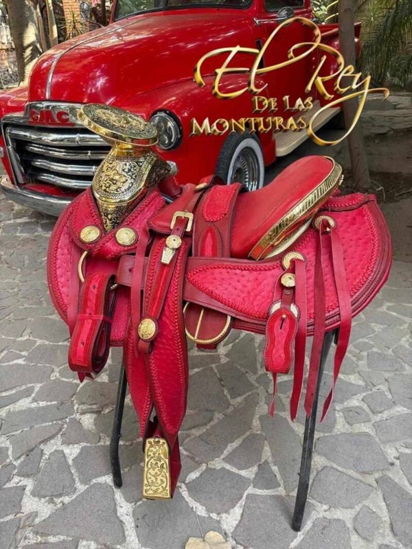 AVESTRUZ ORO CIRCONIAS COLA DE PATO