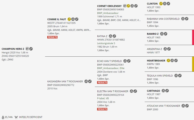 CHAMPION HERO Z PEDIGREE