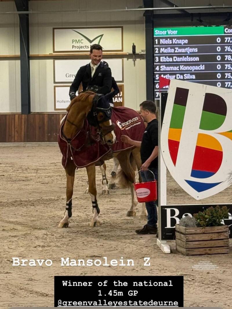 BRAVO MANSOLEIN