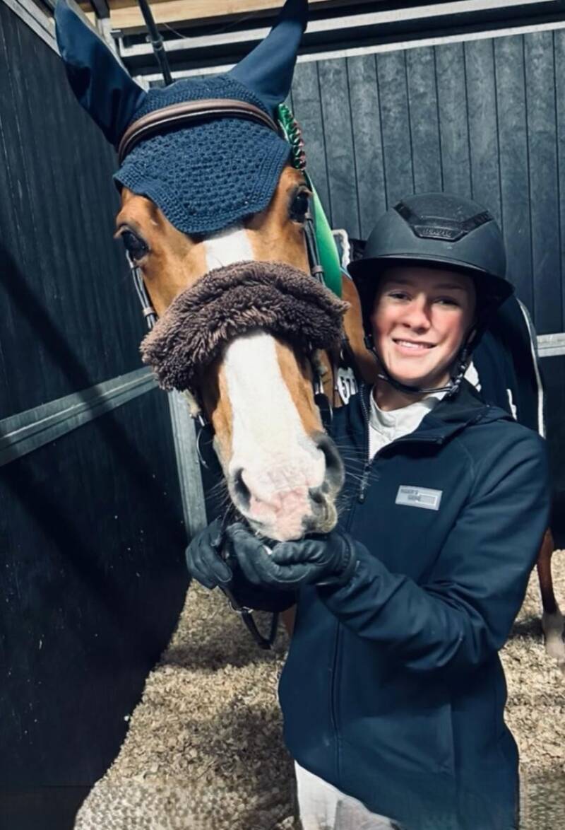 RUBEL  Jumping horse 11