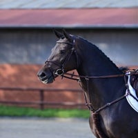 stakk-19b-standard.jpg