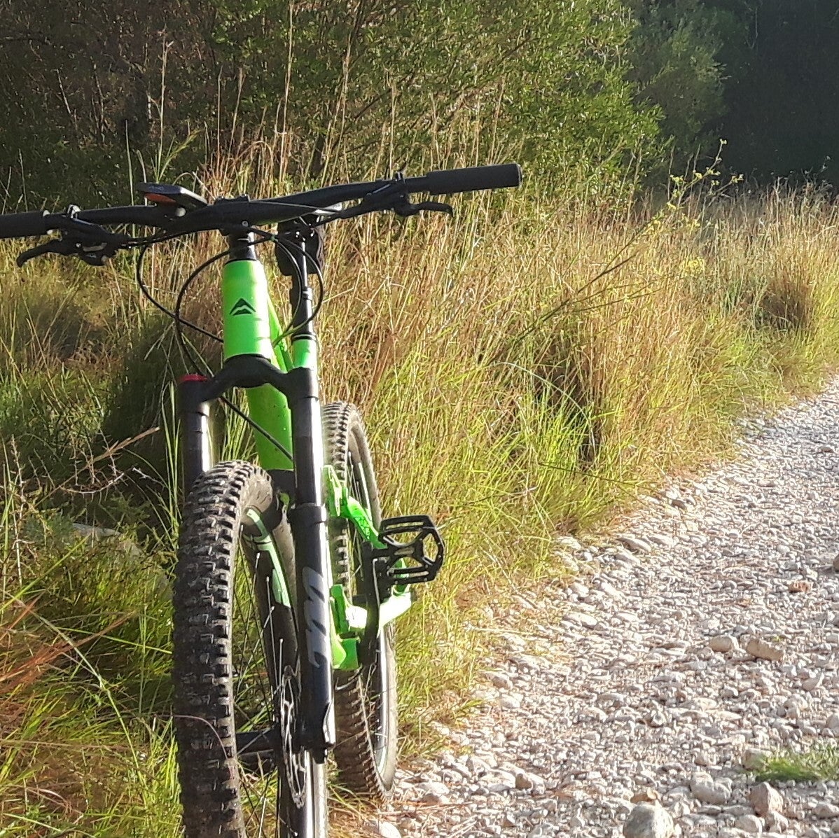 snakebite-mtb-adventures