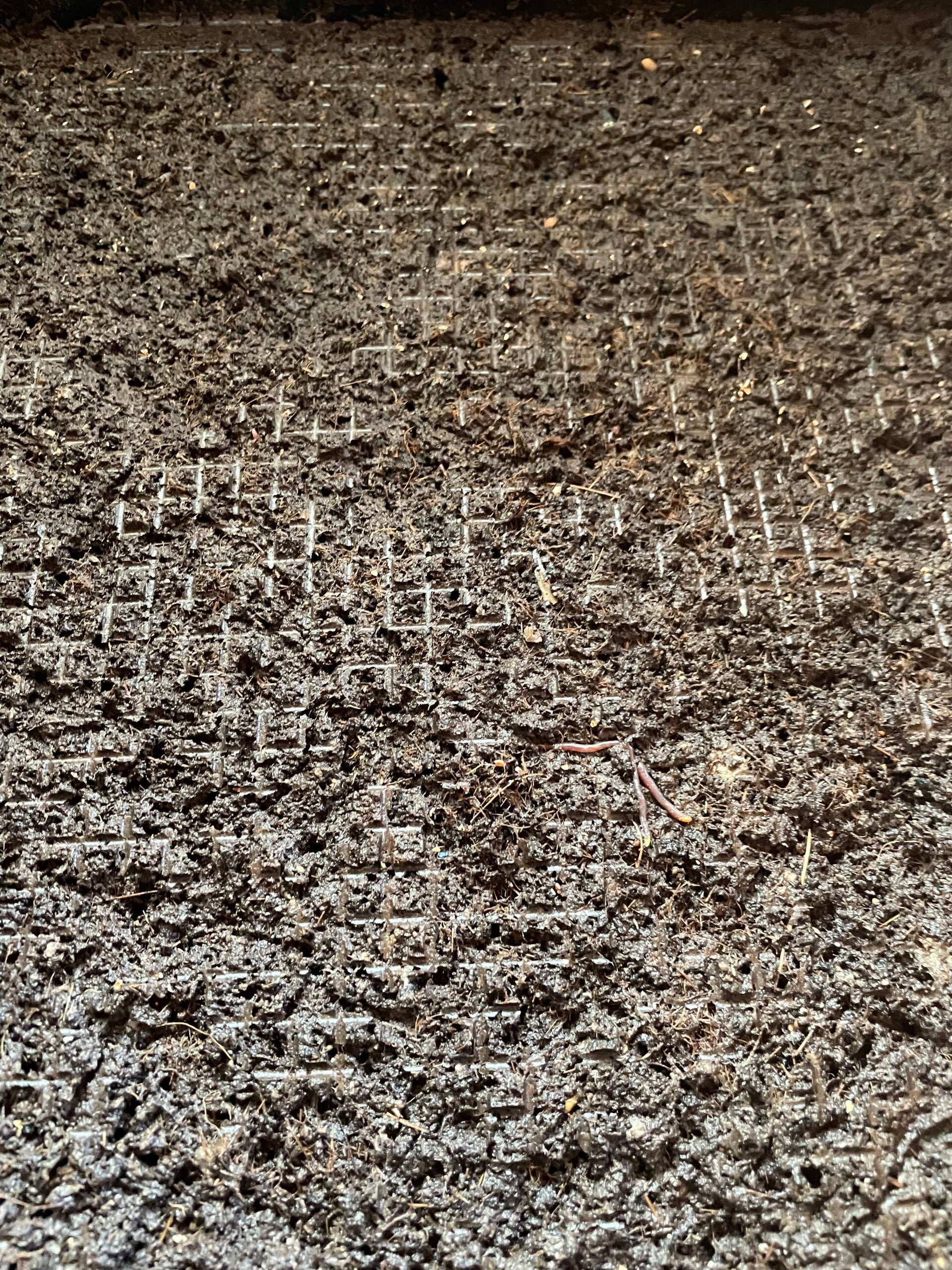 Wormencompost